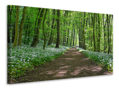 3-piece-canvas-print-we-love-the-summer-in-the-woods
