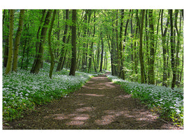 3-piece-canvas-print-we-love-the-summer-in-the-woods