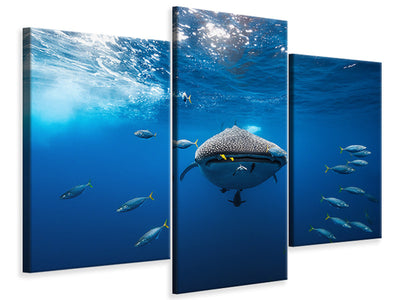 3-piece-canvas-print-under-the-waves