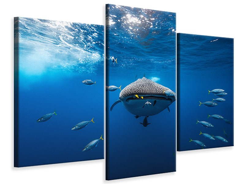 modern-3-piece-canvas-print-under-the-waves