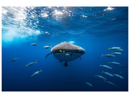canvas-print-under-the-waves