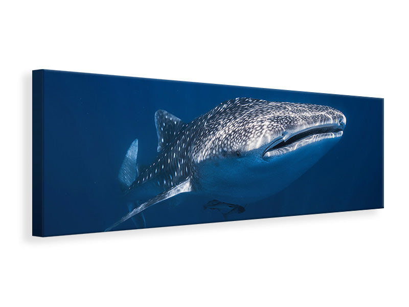 panoramic-3-piece-canvas-print-whale-shark