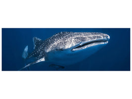 panoramic-3-piece-canvas-print-whale-shark