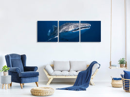 canvas-print-whale-shark