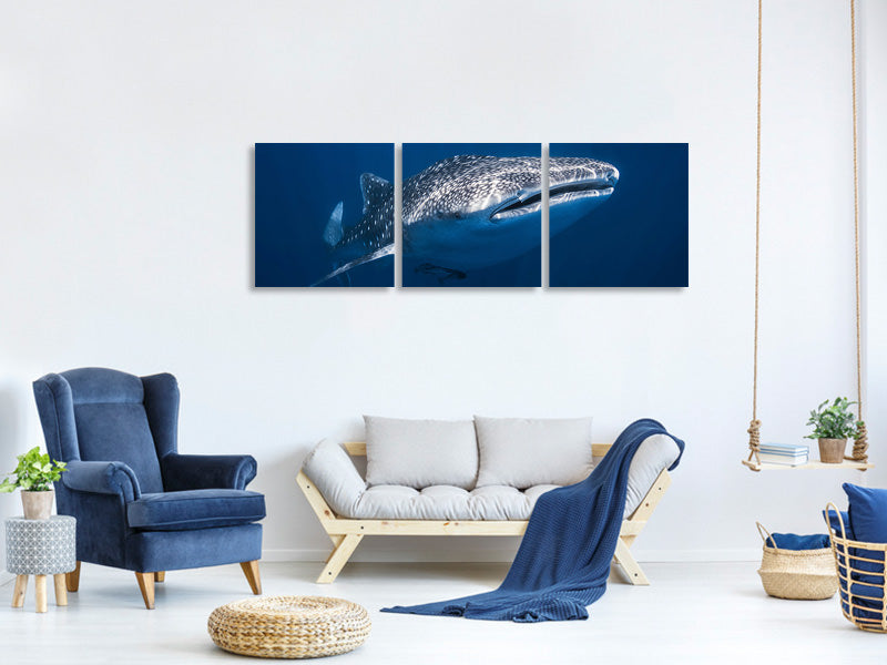 panoramic-canvas-print-whale-shark