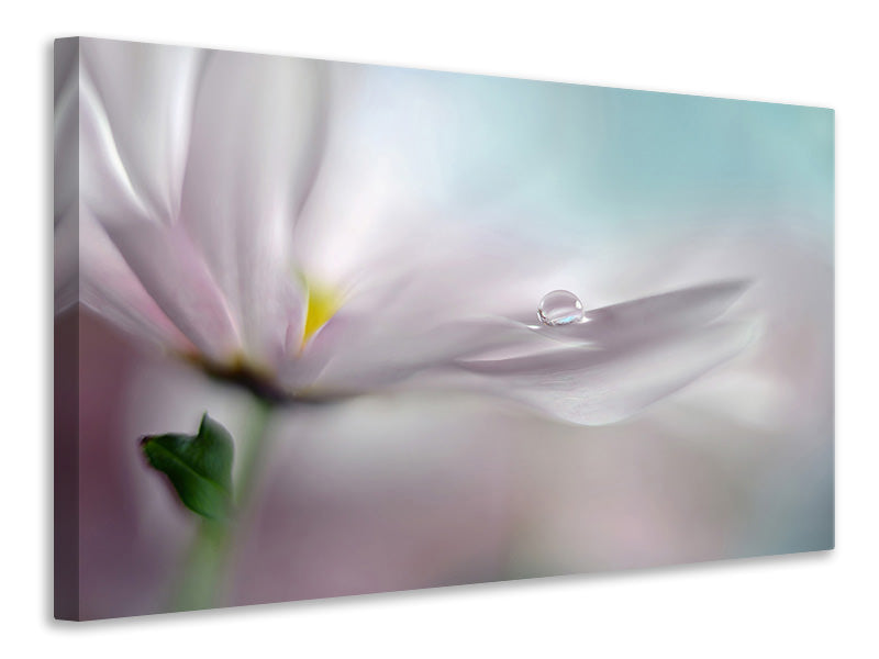 panoramic-3-piece-canvas-print-where-dreams-come-true
