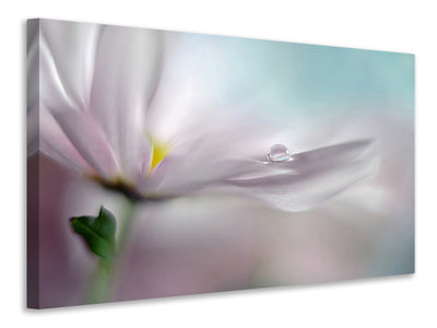 modern-3-piece-canvas-print-where-dreams-come-true