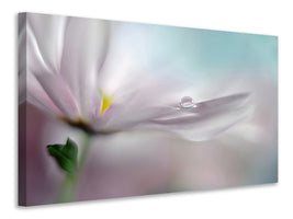 modern-4-piece-canvas-print-where-dreams-come-true