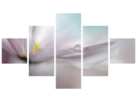 4-piece-canvas-print-where-dreams-come-true