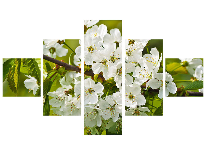 canvas-print-white-flowers-in-xl