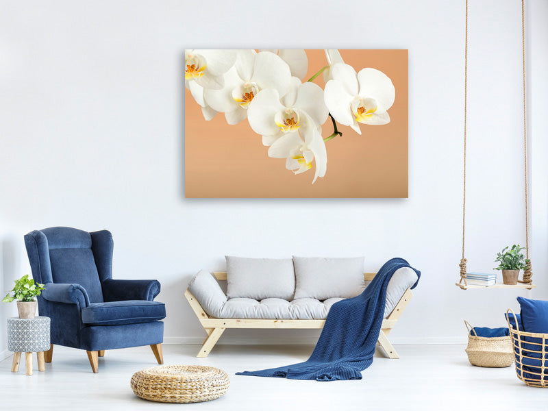 4-piece-canvas-print-white-orchid-flowers