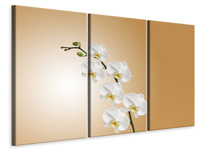 5-piece-canvas-print-white-orchids-xl