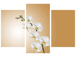 3-piece-canvas-print-white-orchids-xl