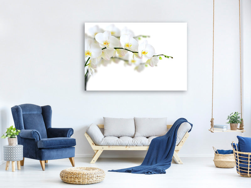 5-piece-canvas-print-white-orchids
