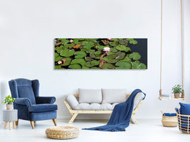 3-piece-canvas-print-white-water-lilies-in-the-pond