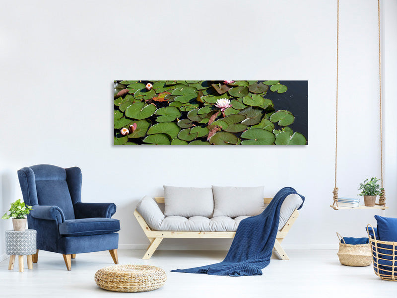 3-piece-canvas-print-white-water-lilies-in-the-pond