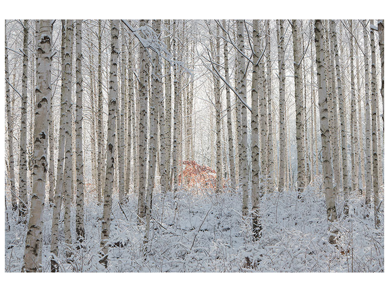 panoramic-3-piece-canvas-print-white