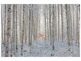 3-piece-canvas-print-white