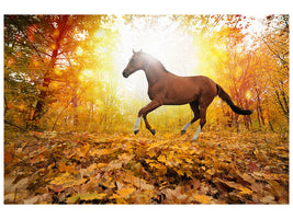 5-piece-canvas-print-whole-blood-in-autumn-forest