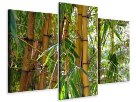 3-piece-canvas-print-wild-bamboo