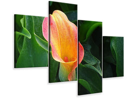 canvas-print-wild-calla