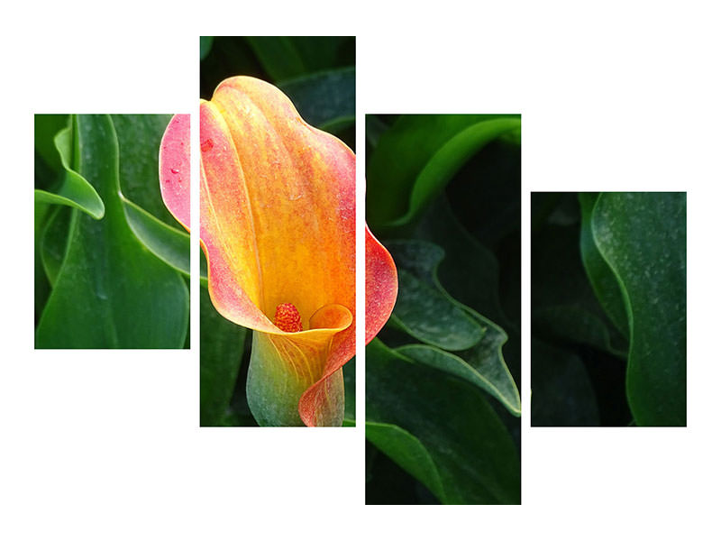 modern-3-piece-canvas-print-wild-calla