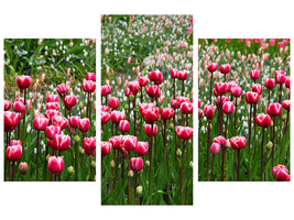 modern-4-piece-canvas-print-wild-tulip-field