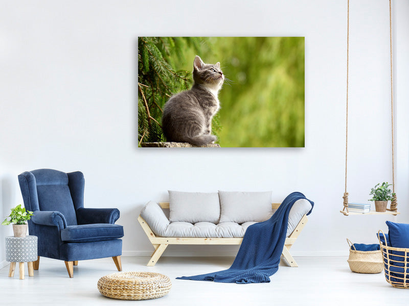 3-piece-canvas-print-wildcat