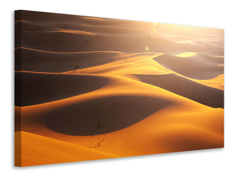 5-piece-canvas-print-wilderness-journey