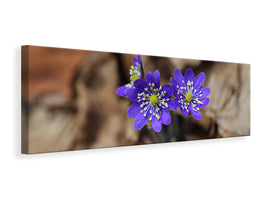 5-piece-canvas-print-wildflowers