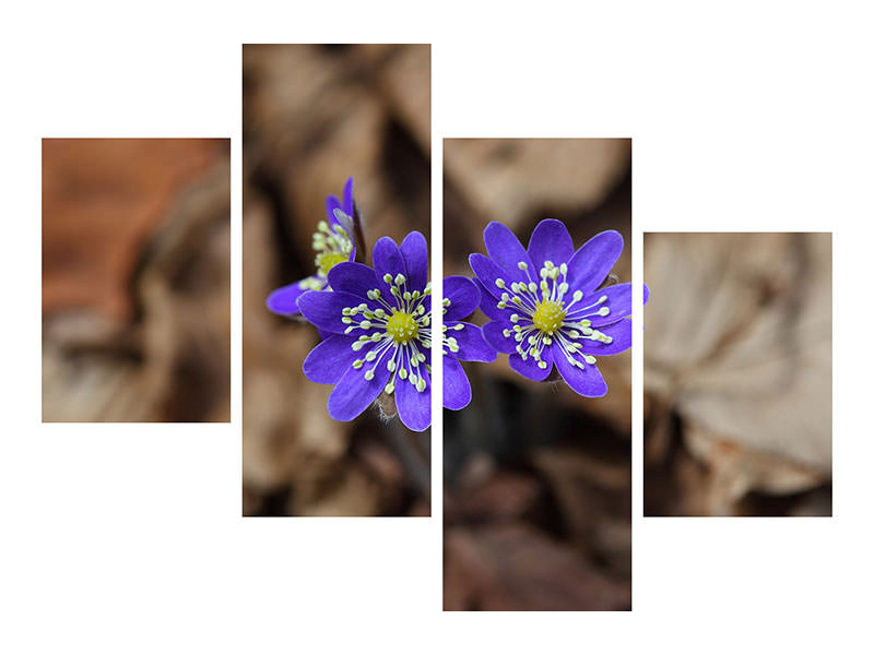 4-piece-canvas-print-wildflowers