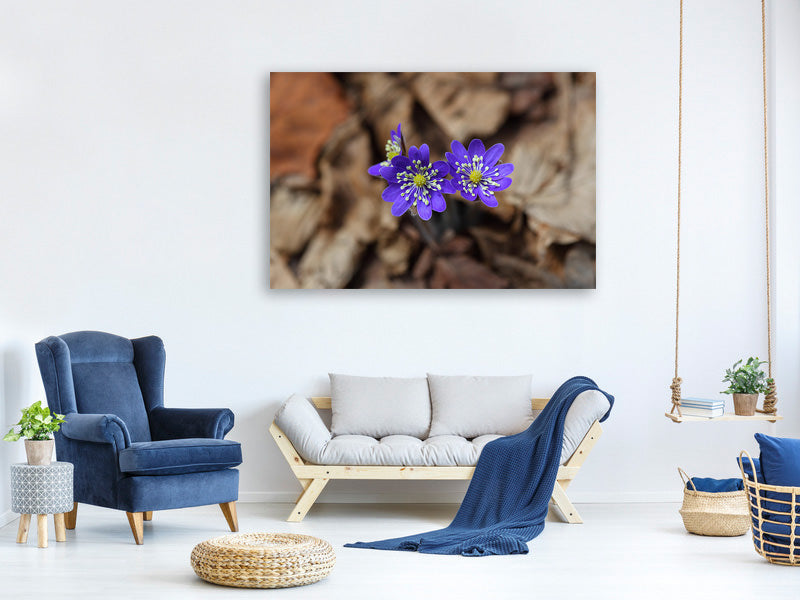 modern-3-piece-canvas-print-wildflowers