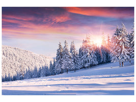 modern-4-piece-canvas-print-winter-landscape