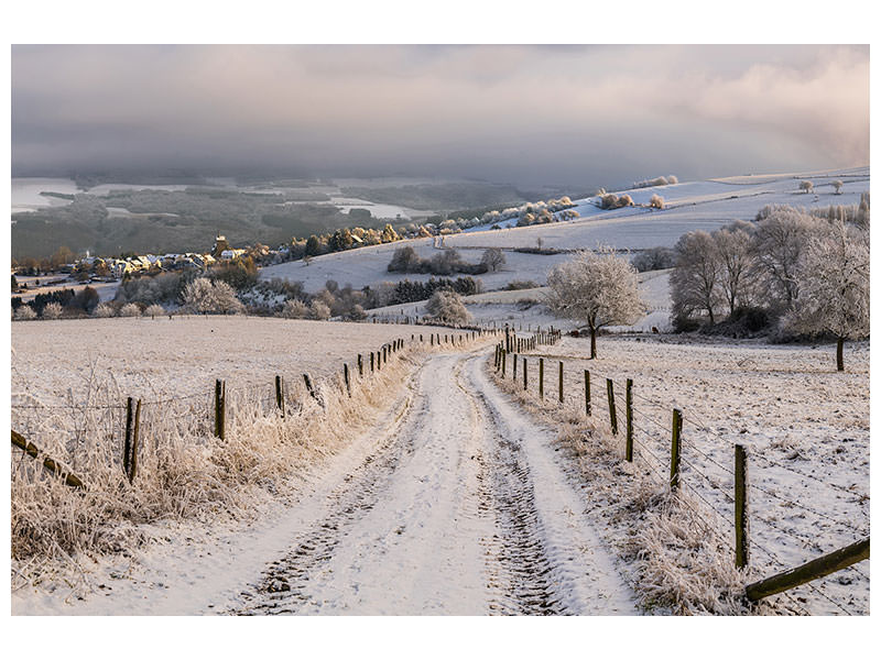 5-piece-canvas-print-winter-wonderland