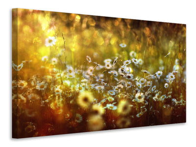 panoramic-3-piece-canvas-print-wonderland