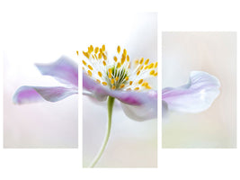 5-piece-canvas-print-wood-anemone