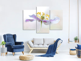 5-piece-canvas-print-wood-anemone