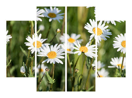 5-piece-canvas-print-xl-daisies