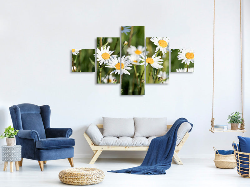 canvas-print-xl-daisies