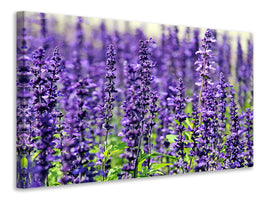 panoramic-3-piece-canvas-print-xl-lavender