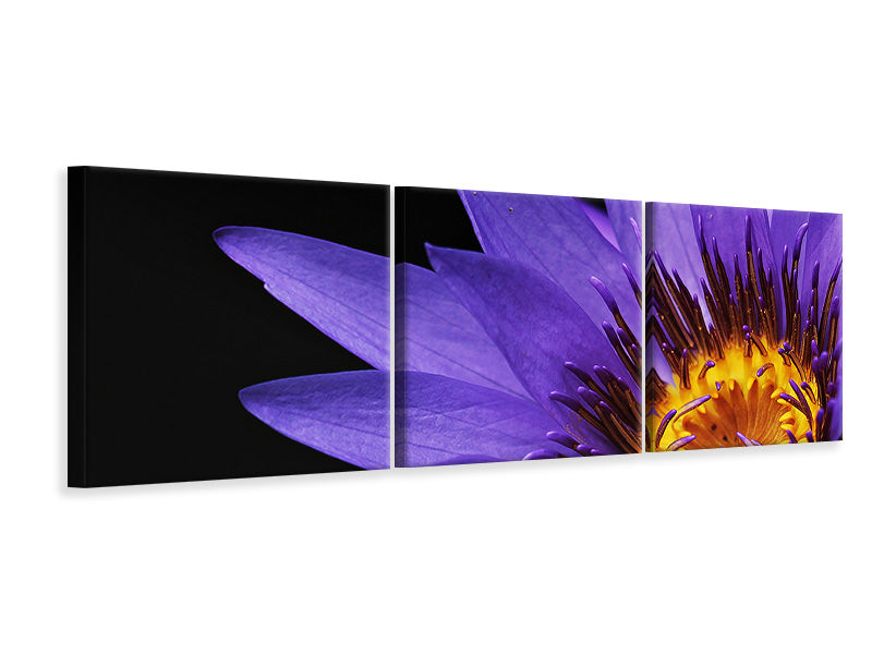 3-piece-canvas-print-xl-water-lily-in-purple