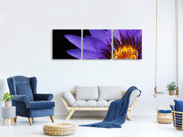 3-piece-canvas-print-xl-water-lily-in-purple