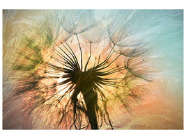 panoramic-3-piece-canvas-print-xxl-dandelion