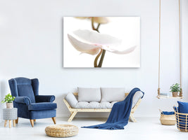 modern-4-piece-canvas-print-xxl-orchid-flower