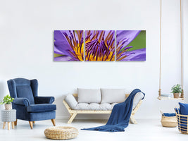 modern-4-piece-canvas-print-xxl-water-lily-in-purple