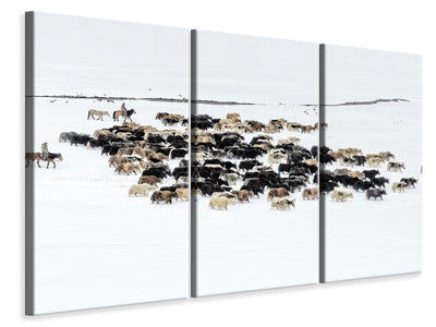 modern-3-piece-canvas-print-yaks-in-snow