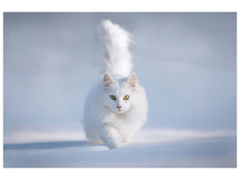 modern-4-piece-canvas-print-yellow-eyes