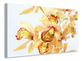 4-piece-canvas-print-yellow-orchid