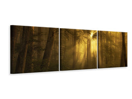 3-piece-canvas-print-yellow-the-bigger-picture