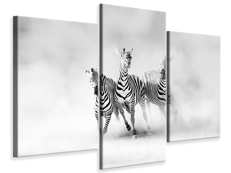panoramic-3-piece-canvas-print-zebras